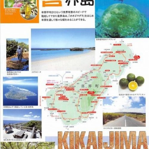 喜界島ガイドマップ
